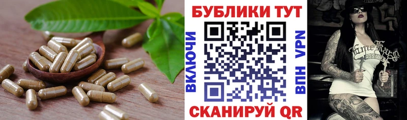 Ecstasy бентли OMG зеркало Трубчевск