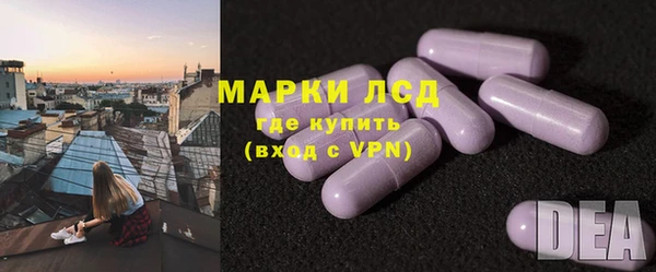 apvp Бородино