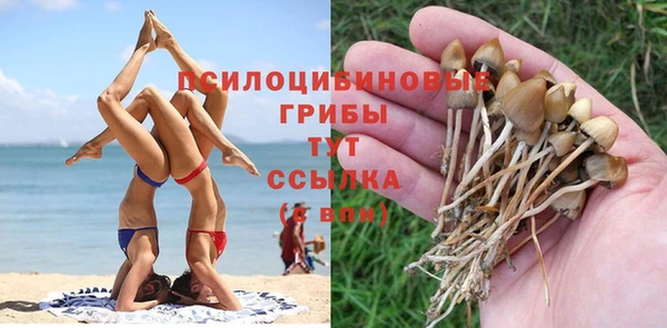 гидропоника Бронницы