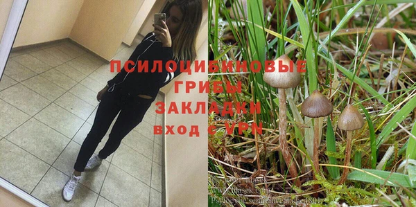 гидропоника Бронницы