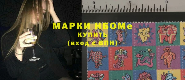 apvp Бородино