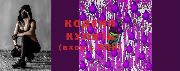 apvp Бородино