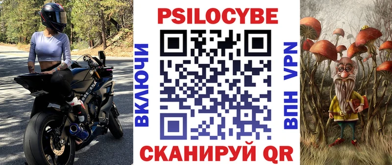 Псилоцибиновые грибы мицелий  закладка  Трубчевск 